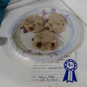 Prize winning chocolate chip cookies